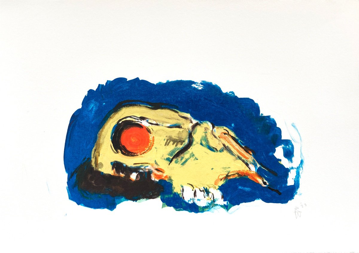 Skull (gold/blue) by Rachel Williams