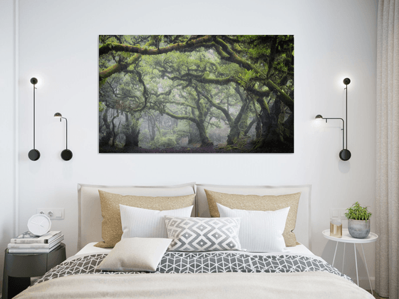 Misty Fanal Twisted Forest