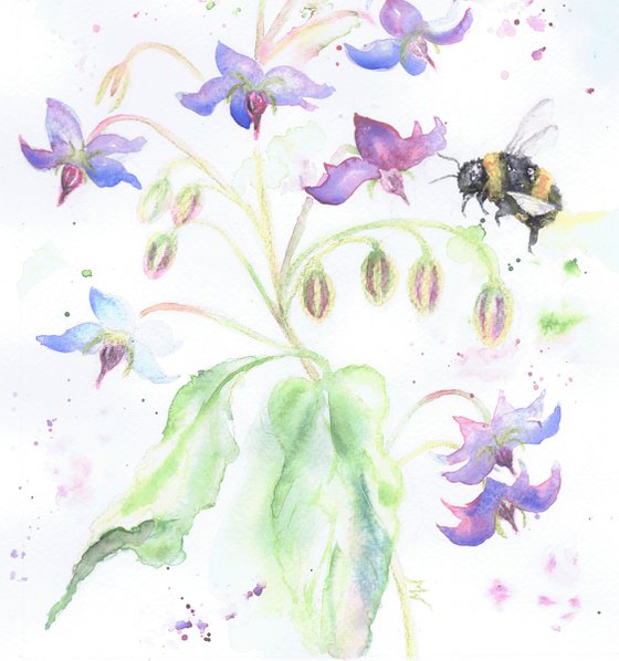 Bees and Borage