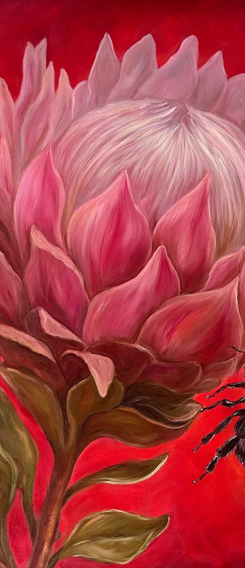 Protea by Kristina Sergeeva