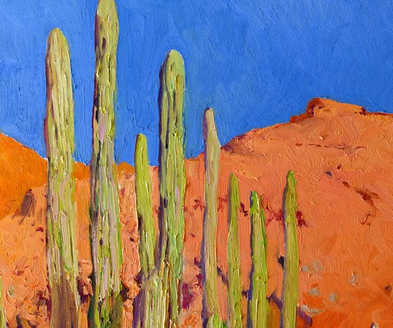 Cactuses in the Desert