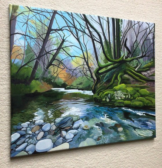 Mossy Banks And Cool Waters