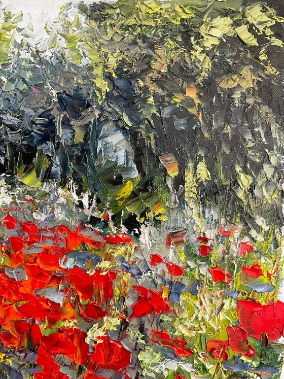 Poppies on grey background