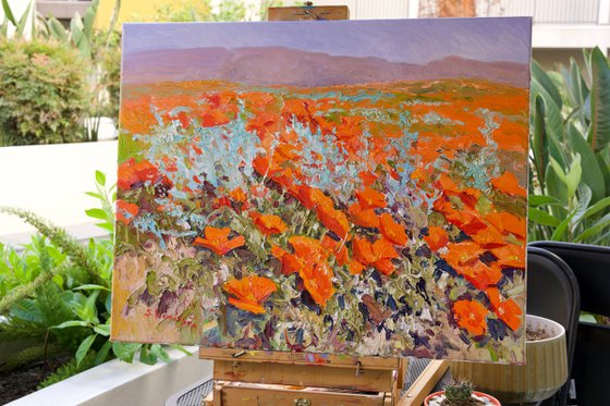 California Poppies