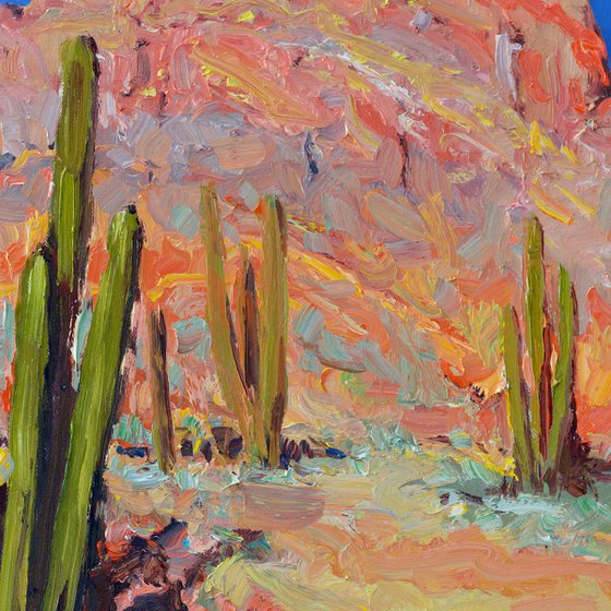 Landscape with a Cactus
