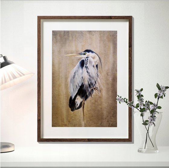 Grey heron  - Great Blue Heron - bird painting -  heron