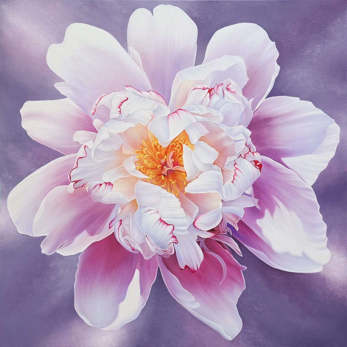 Photorealistic Botanical Oil Painting By Anna Steshenko, 31 X 31, Pink Beauty, Peony, Original Artwork