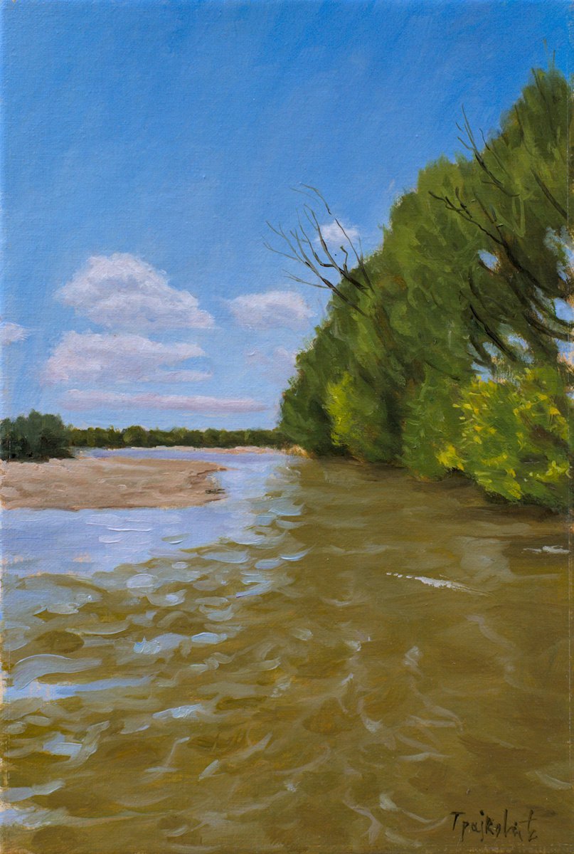 Impressionistic Landscape Oil Painting By Dejan Trajkovic, 12 X 16, South Morava, Original Artwork