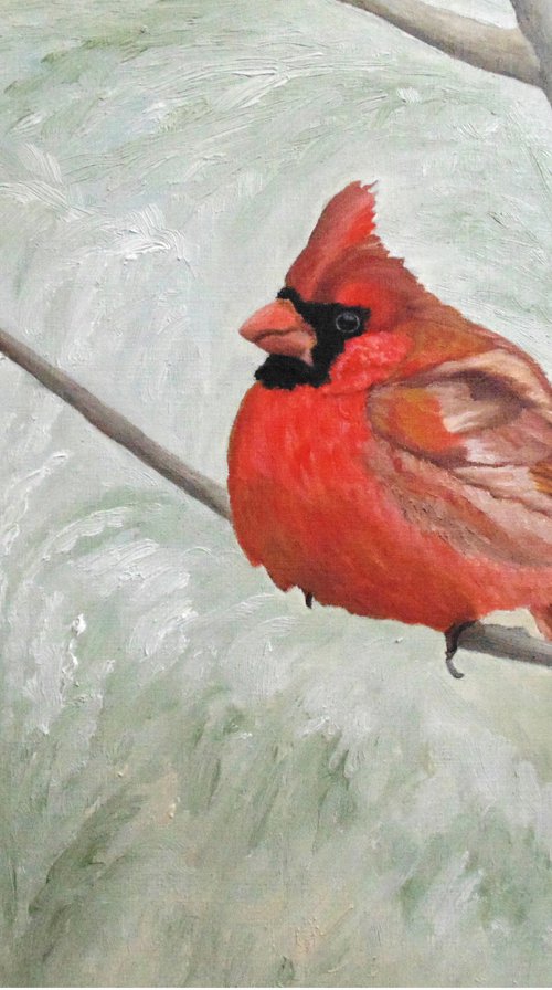 Winter Cardinal by Angeles M. Pomata