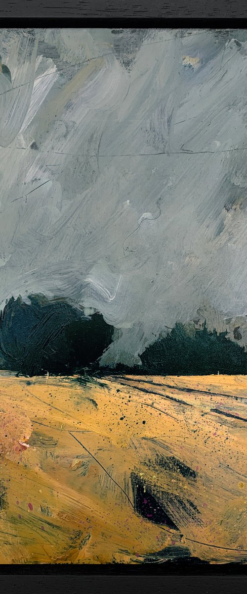 Spring Fields by Paul West