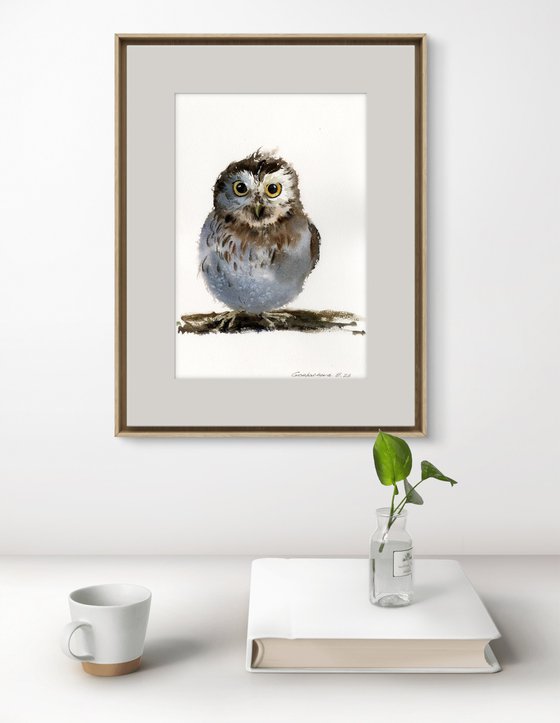 Little owl on a branch #17