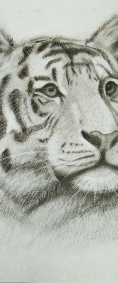 Tiger by Yulia Berseneva