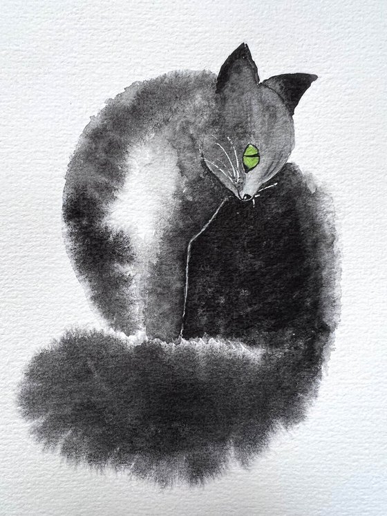 Fluffy black cat