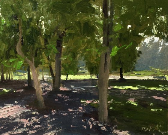 In the Shade of Trees
