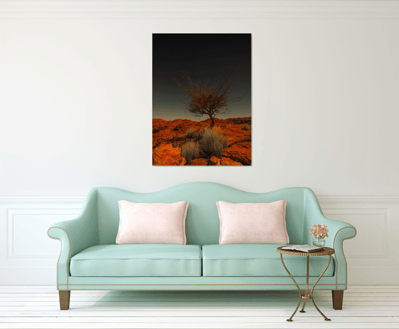 Watarrka Wunggurra