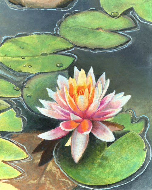 Pink lily pads in a pond by Lucia Verdejo