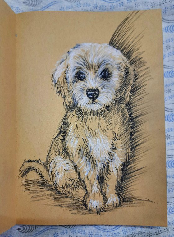 Cute puppy sketch
