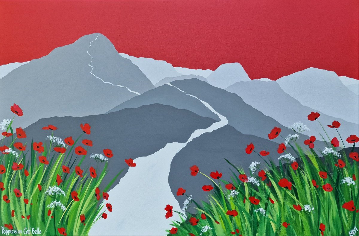 Poppies on Cat Bells, The Lake District by Sam Martin