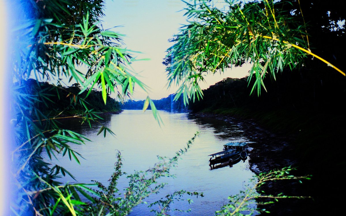 Amazon River by Georgia Fitzgerald