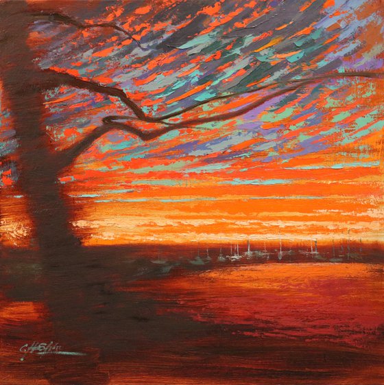 Passing Cloud in North Shore