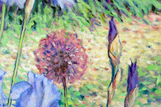 Irises dancing in the sun