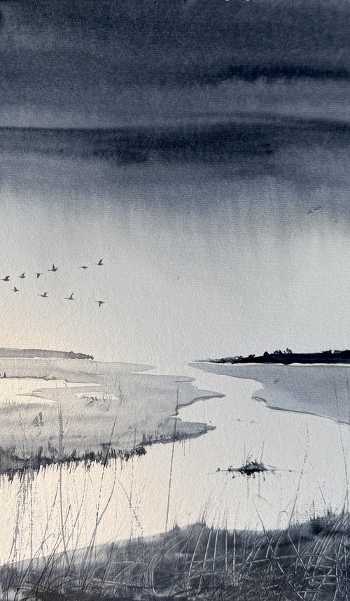 rainclouds marshes geese by Teresa Tanner