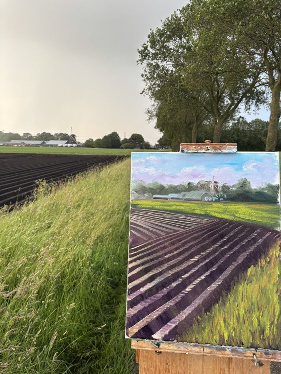 Plowed Field in Wachtum
