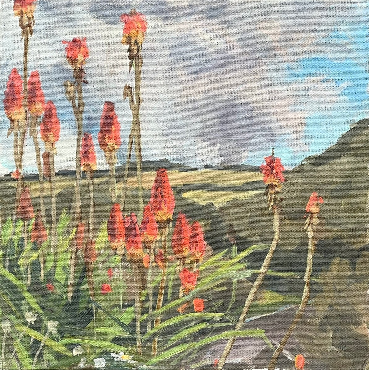 Cornish Red Hot Pokers By Louise Gillard, 8 X 8, Artwork For Sale On Artfinder