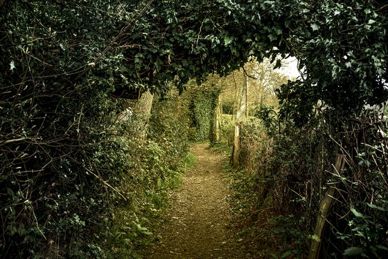 The Path to Hawkhurst