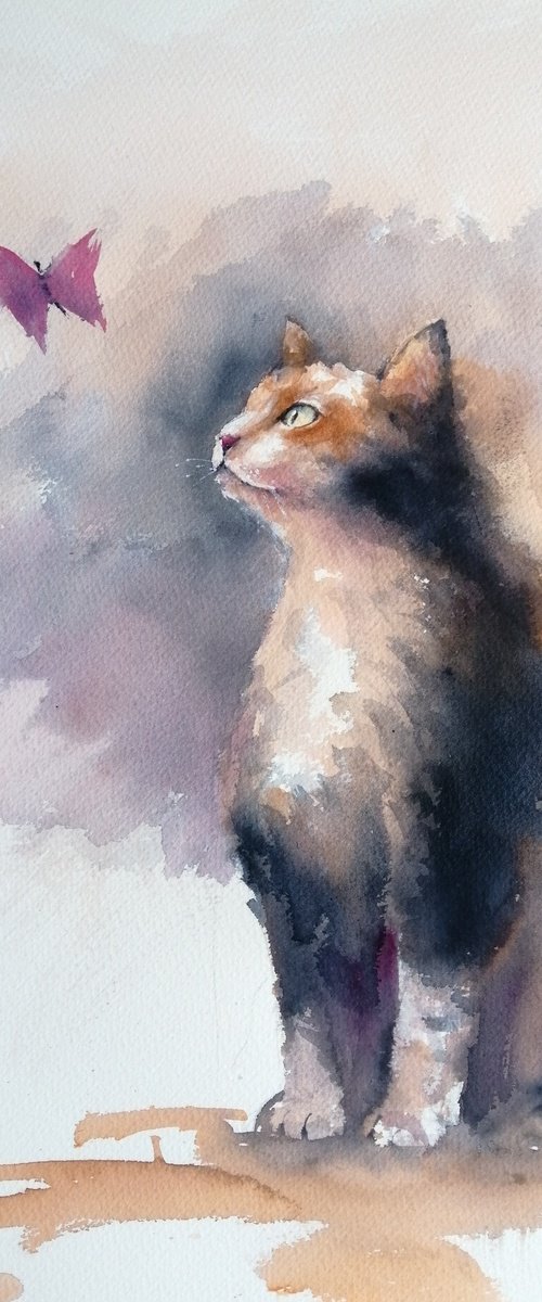 cat 12 by Giorgio Gosti