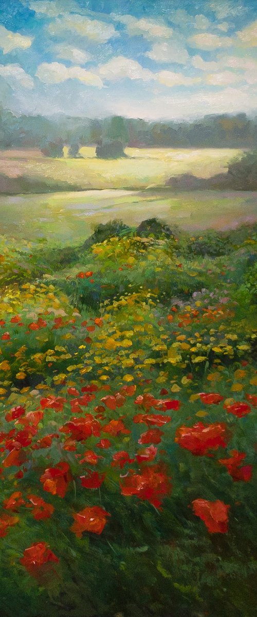 field of poppies by Aleksandr Jerochin