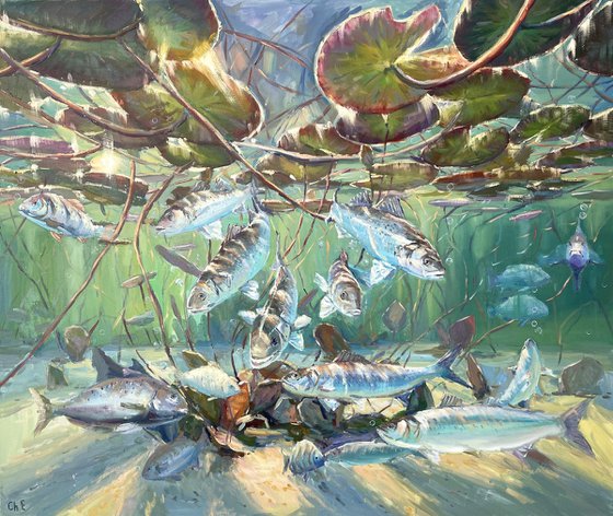 Undersea world