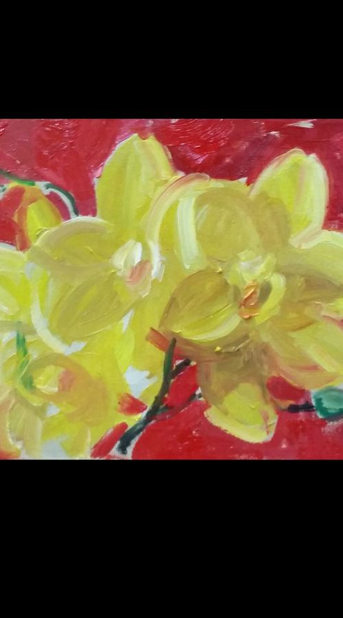 yellow orchid by HELINDA (Olga Müller)