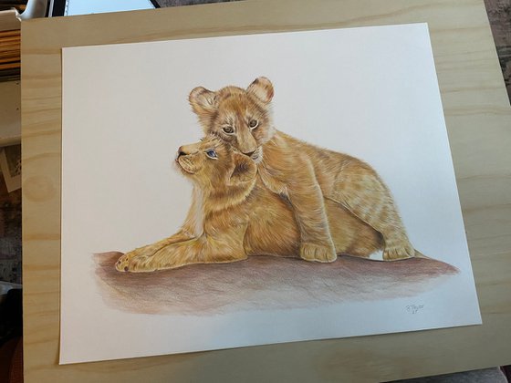 Lion Cubs