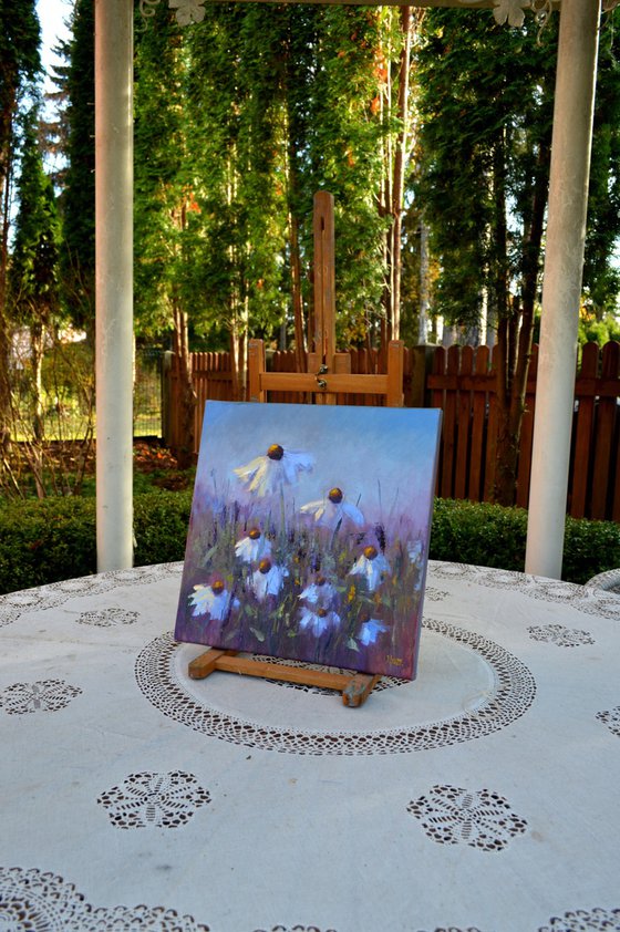 Field Daisies