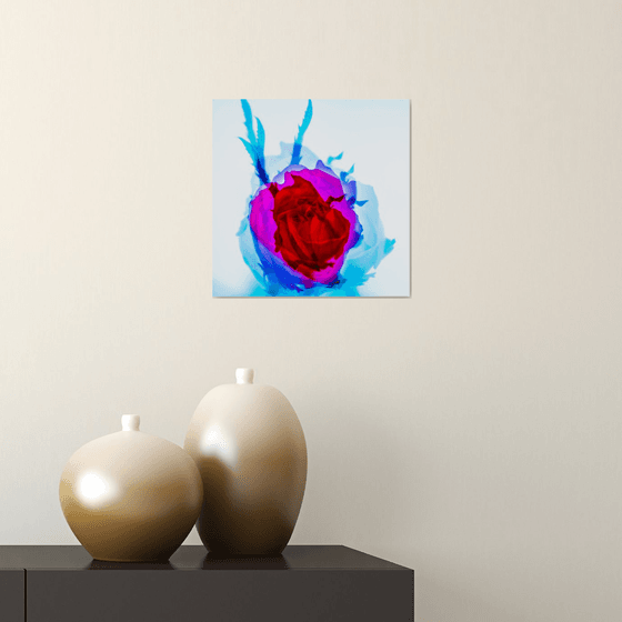 Psychedelic Flowers #2 Limited Edition 1/50 10x10 inch Photographic Print.