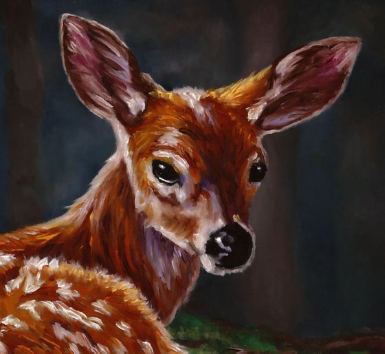 'Sanctuary' Blacktail deer fawn