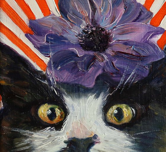 Cat with anemone