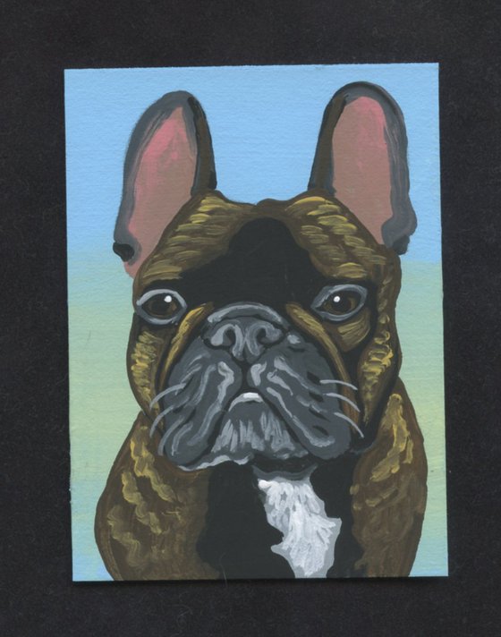 ACEO ATC Original Miniature Painting Brindle French Bulldog Pet Dog Art-Carla Smale