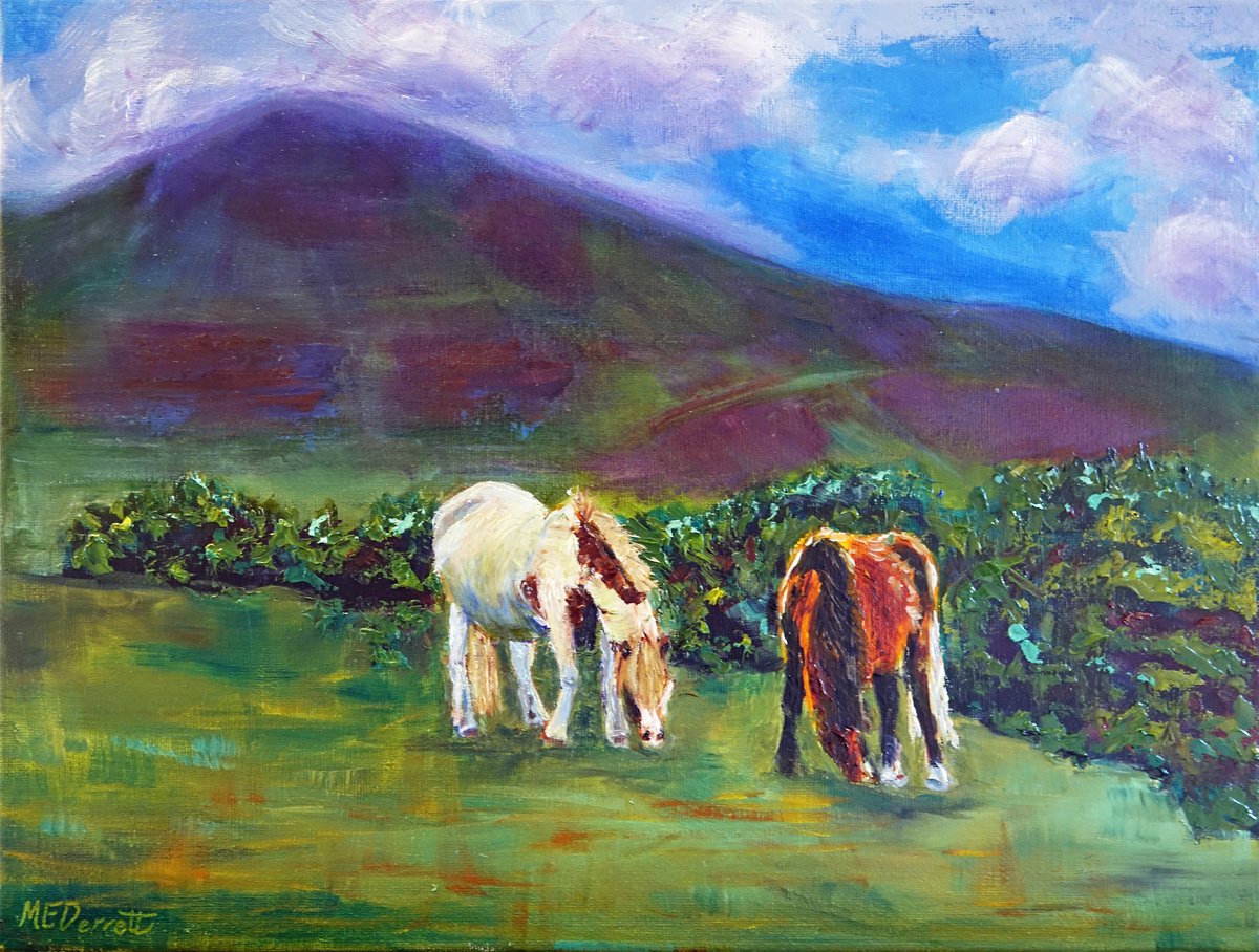 Wild Welsh Horses by Marion Derrett