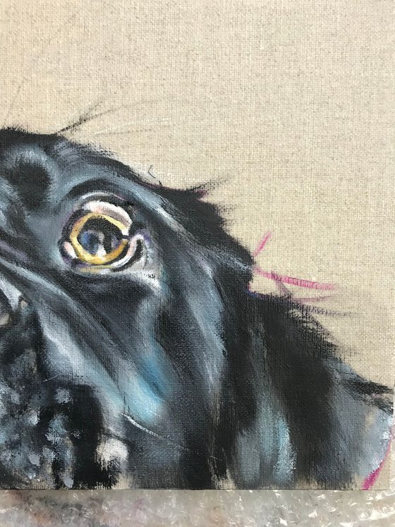 Biscuits?! Black Labrador Retriever original oil painting