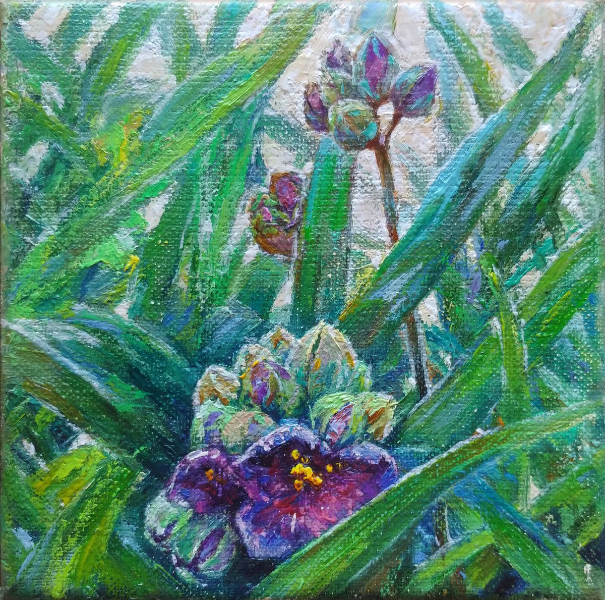 Among The Herbs. By Svitlana Gunchenko, 11 X 11, Artwork For Sale On Artfinder