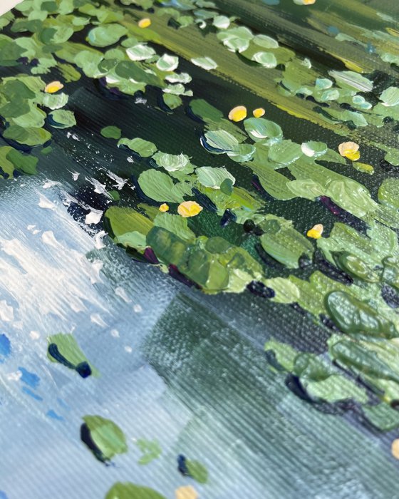 Water lilies. Small pond