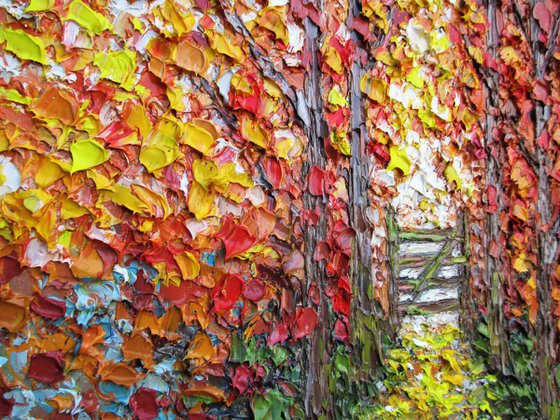 Walking through Autumn