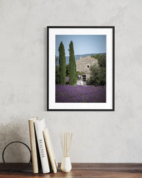 THE BEAUTIFUL FRENCH HOUSE