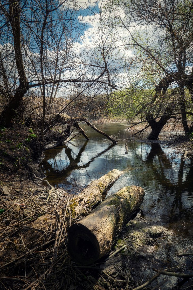 April silence by Vlad Durniev