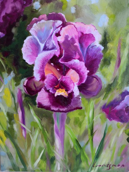 Purple iris in the garden, iris flower Painting by Jane Lantsman