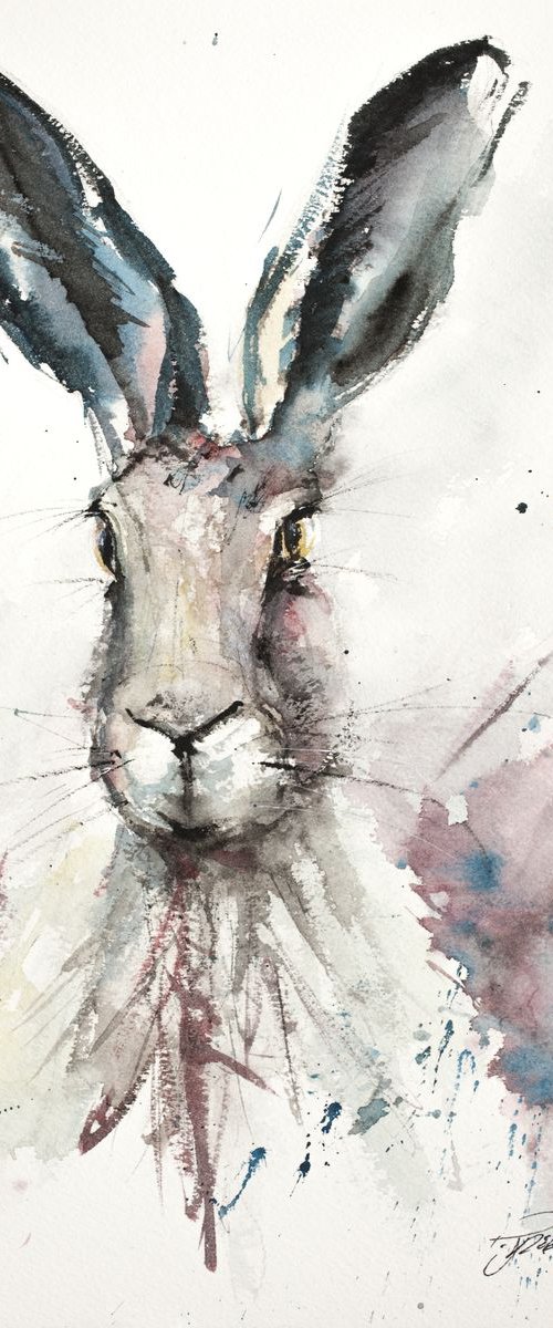 Hare Portrait by Tomasz Mikutel