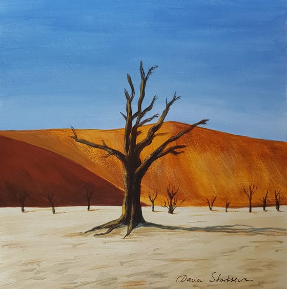 Desert Acacia