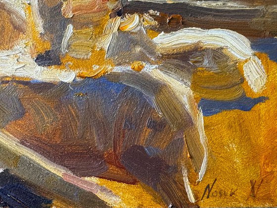 Sheep in the Carpathians